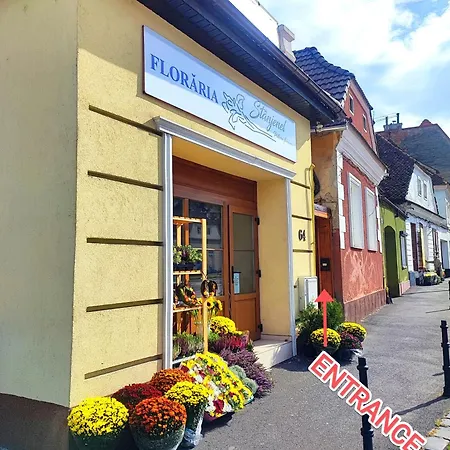 Prime Braşov